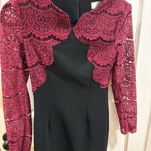 Elegant Lace Overlay Black and Pink Dress